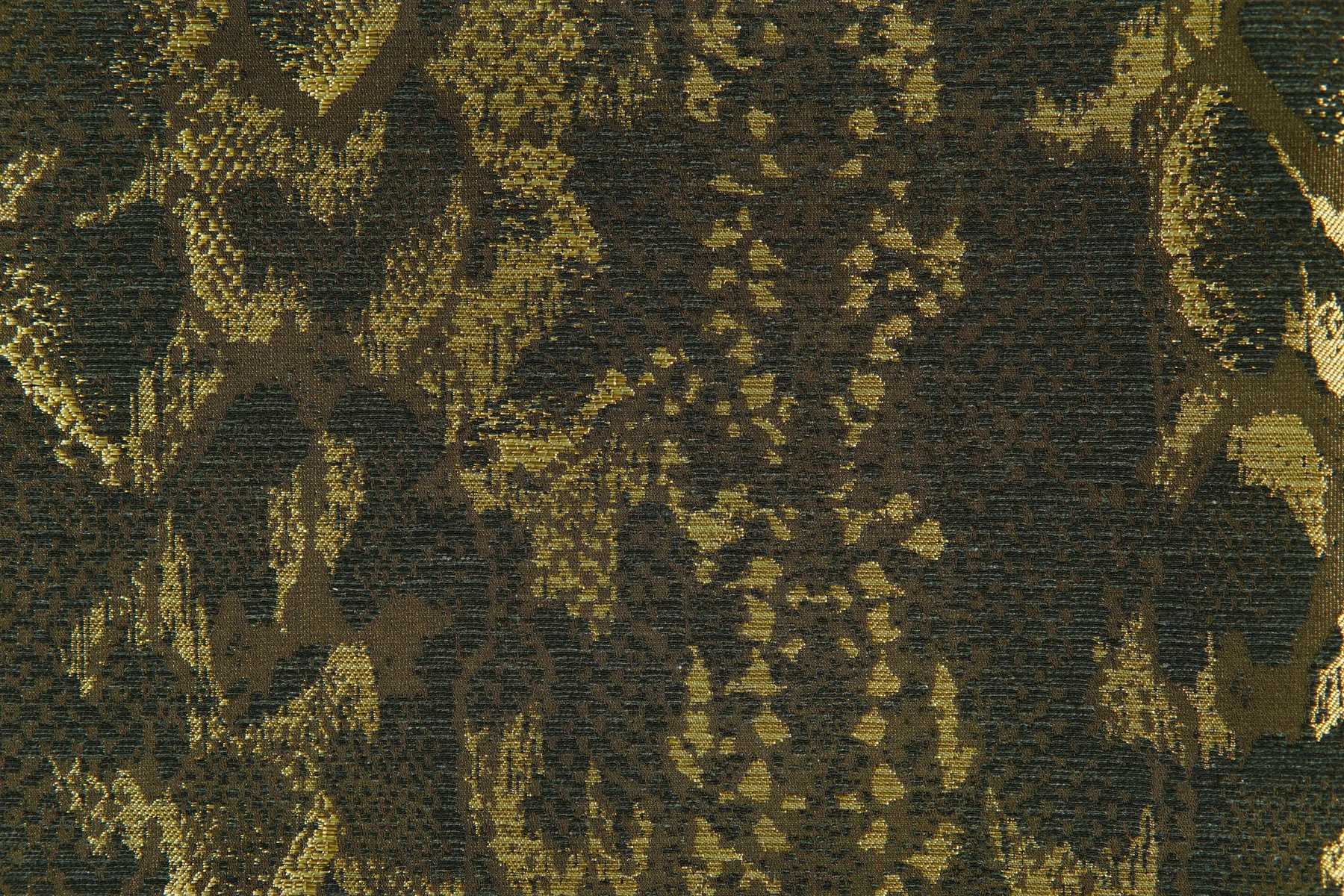 Arizona 7003