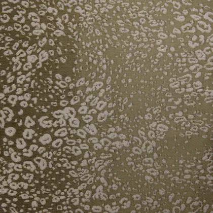 Leopard 06