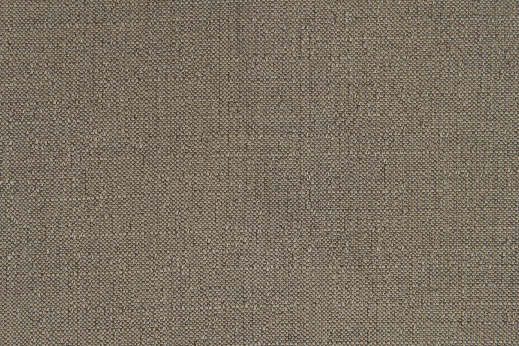 Mantova 503